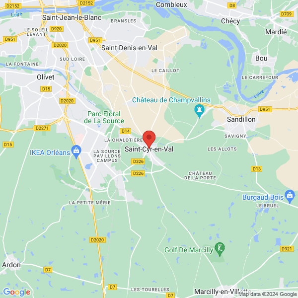 google map